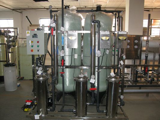 SUS304 ha demineralizzato il sodio senza piombo della pianta acquatica libero con la pompa di CNC