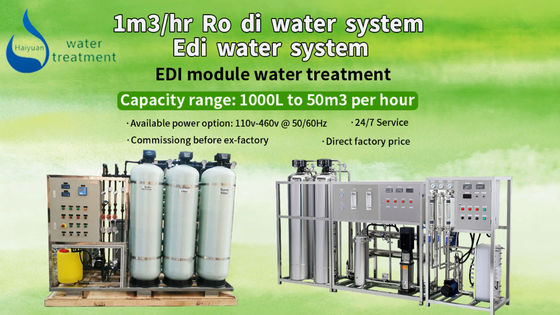 Sistema demineralizzato 1TPH di purificazione di EDI Unit For Water Treatment
