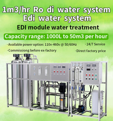 Sistema demineralizzato 1TPH di purificazione di EDI Unit For Water Treatment