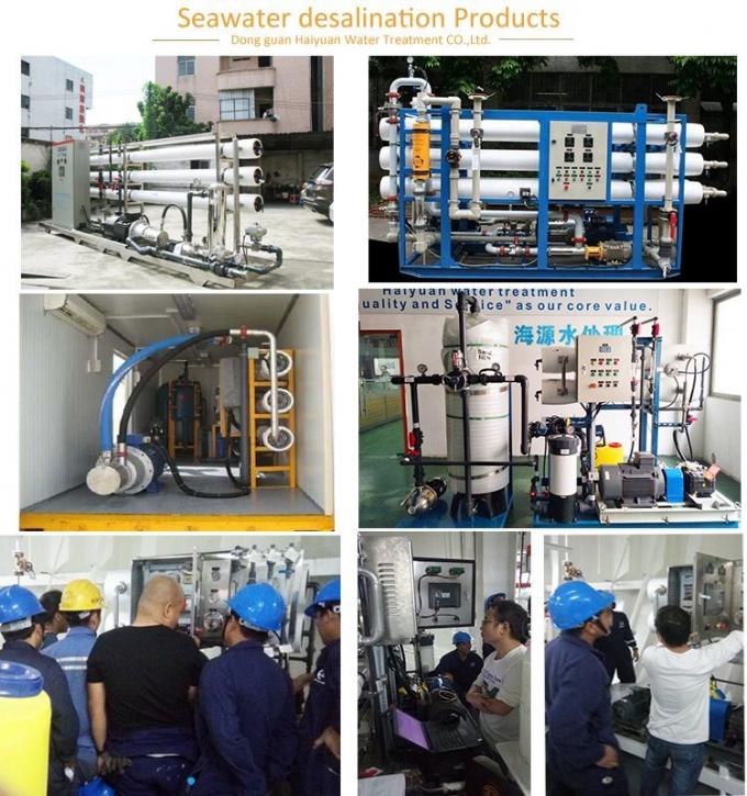 Containerized Desalination Water Plant Salt Water Containerised RO Desalination Plant Sea Water Desalination Plant