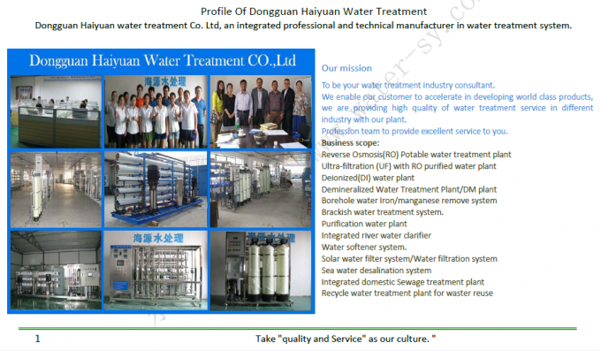 Containerized Water Treatment System Machine Plants Containerized RO Sea Water Seawater Desalination Plants