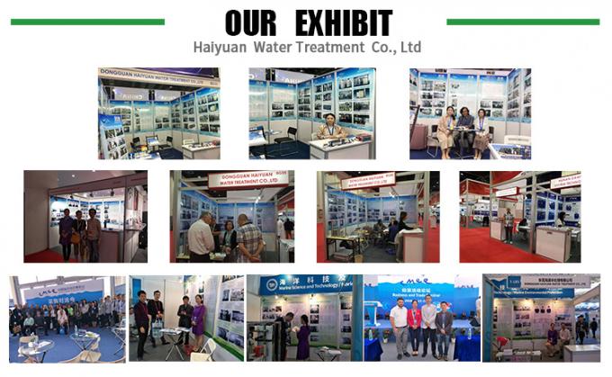 Bore Hole Large Scale Salty Water Seawater Desalination Machine Sea Well Water Desalination Machine
