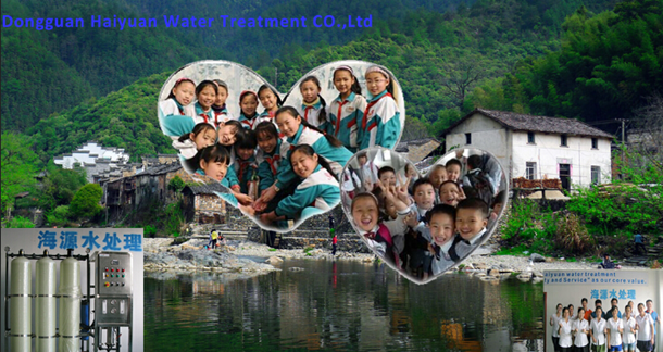EDI Deionized Water Treatment Plant, Deionizer Water Filter, Di Water System